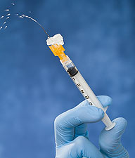 flu shots &copy; stevenson photography / all rights reserved